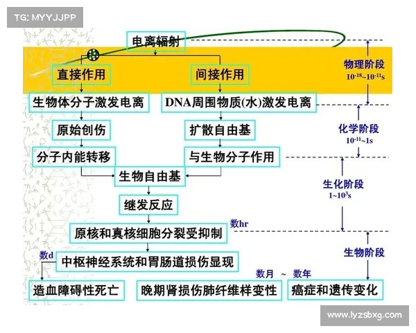 肾受辐射如何治好 肾受辐射如何治好